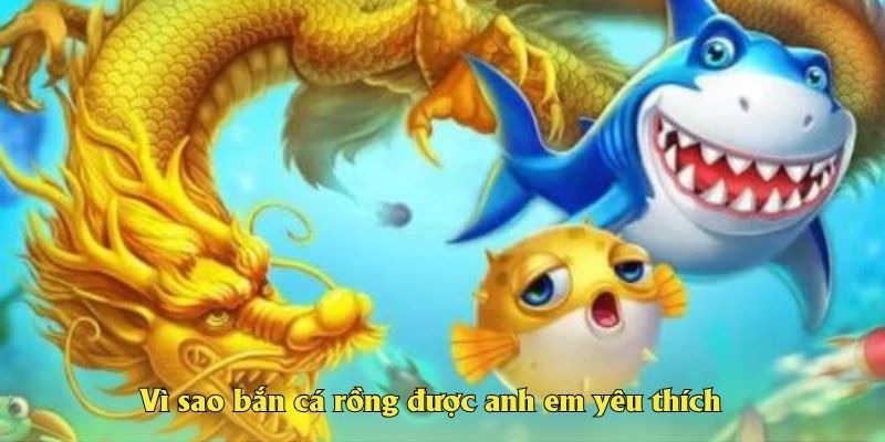 Vì sao bắn cá rồng được anh em yêu thích