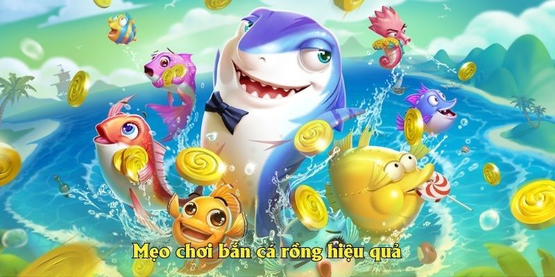Mẹo chơi bắn cá rồng hiệu quả cho anh em