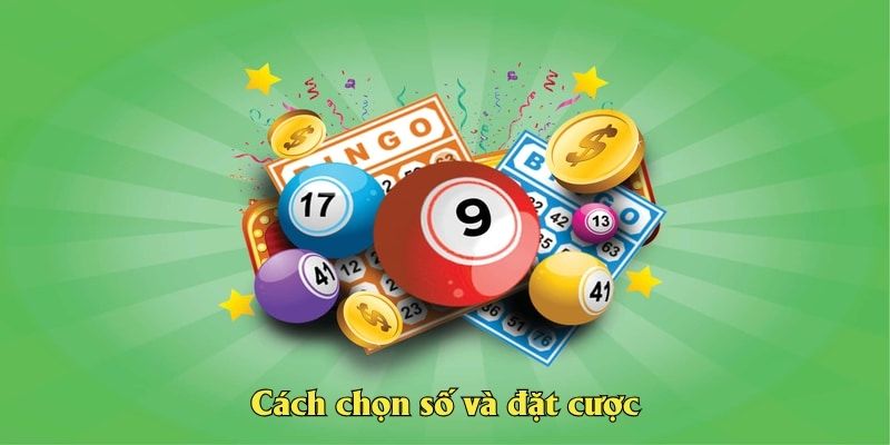 Cách chọn số và đặt cược