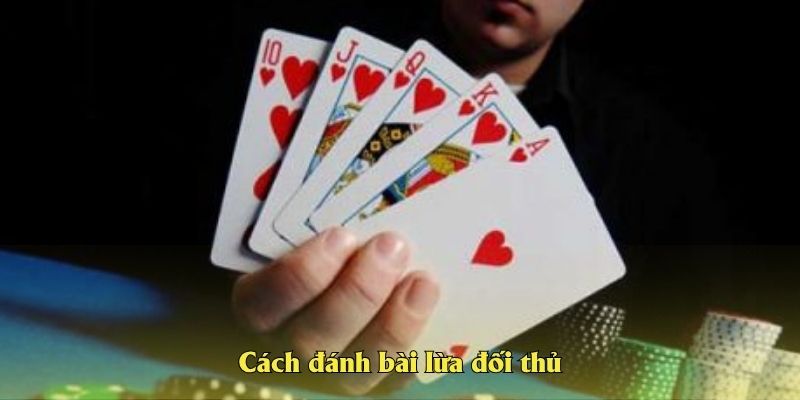 Cách đánh bài lừa đối thủ