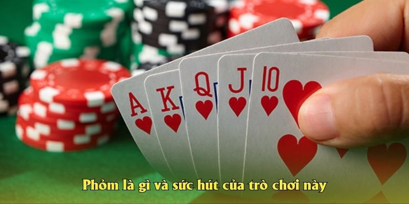 Phỏm là gì và sức hút của trò chơi này