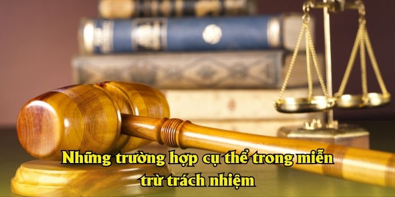 Những trường hợp cụ thể trong miễn trừ trách nhiệm