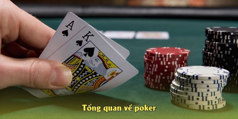 Tổng quan về poker